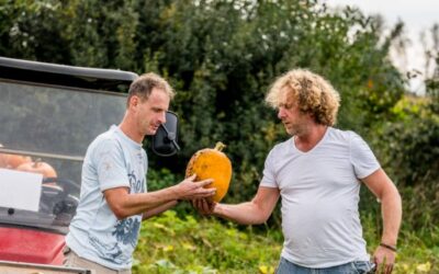 Vrijwilliger gezocht voor hout bewerkplaats of tuinwerk.