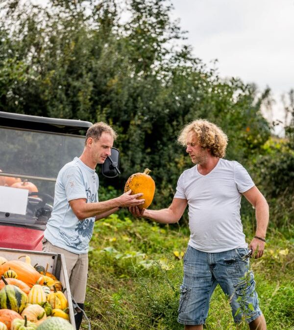 Vrijwilliger gezocht voor hout bewerkplaats of tuinwerk.