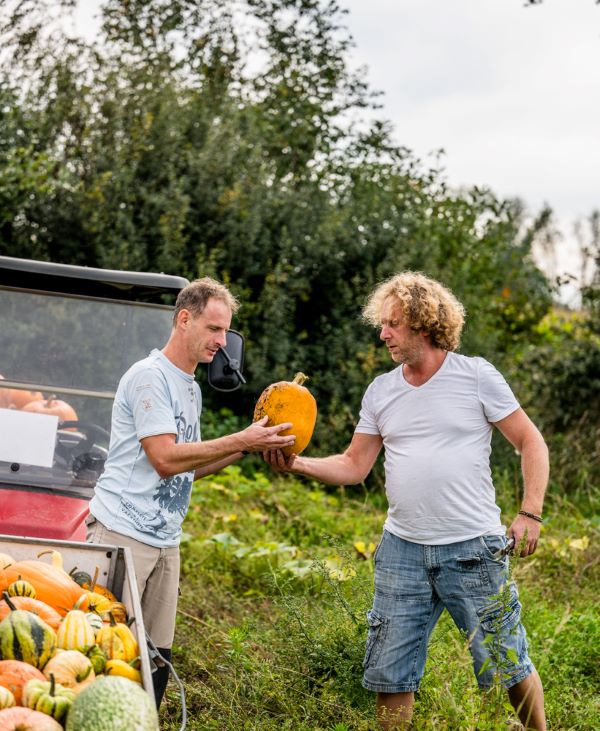 helpen op de boerderij vrijwilliger gezocht