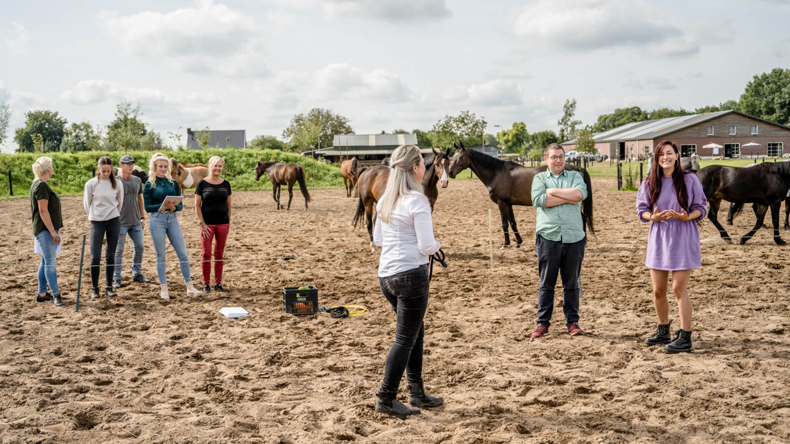 Teams met Paardenkracht