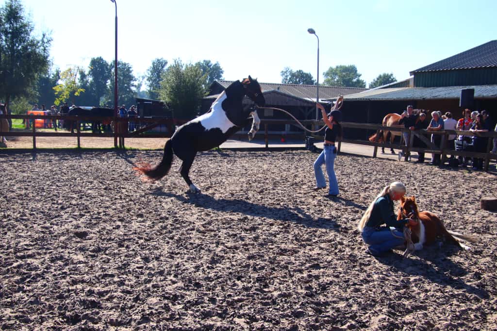 pompoenfair kinderen